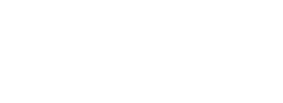 Full Shine Professional
